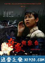 奇袭胡家台 (2015)