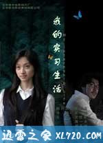 我的实习生活(2007)