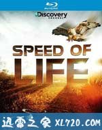 探索频道:生命的速度 Discovery Channel :Speed of Life (2010)