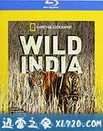 国家地理:狂野印度 Secrets of Wild India (2012)