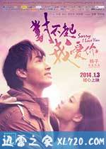 对不起,我爱你 (2013)
