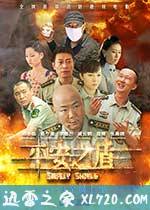 平安之盾 (2014)