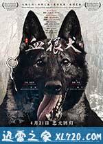 血狼犬 (2017)