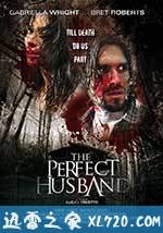 完美丈夫 The Perfect Husband (2014)
