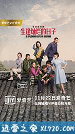 生逢灿烂的日子 (2017)