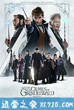 神奇动物:格林德沃之罪 Fantastic Beasts: The Crimes of Grindelwald (2018)