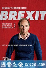 脱欧:无理之战 Brexit: The Uncivil War (2019)