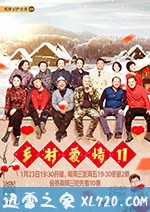 乡村爱情11 (2019)