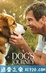 一条狗的使命2 A Dog's Journey (2019)