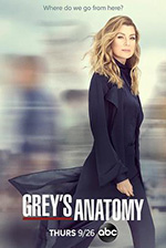 实习医生格蕾 第十六季 Grey's Anatomy Season 16 (2019)