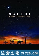 纳勒迪:一只小象的故事 Naledi: A Baby Elephant's Tale (2016)
