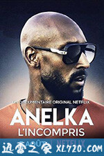 阿内尔卡:全是误解 Anelka: L'Incompris (2020)