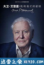大卫·爱登堡:地球上的一段生命旅程 David Attenborough: A Life on Our Planet (2020)