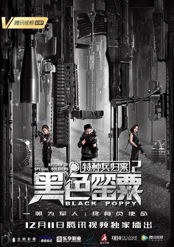 2018年国产动作片《特种兵归来2:黑色罂粟》HD国语中字