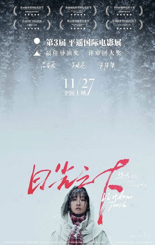 2020年国产6.4分剧情片《日光之下》HD国语中字