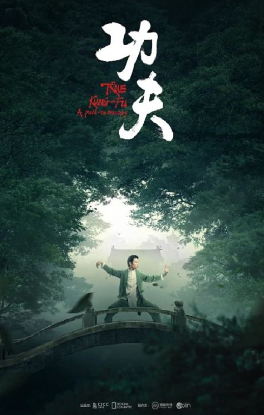 2023年国产大陆纪录片《功夫》全3集