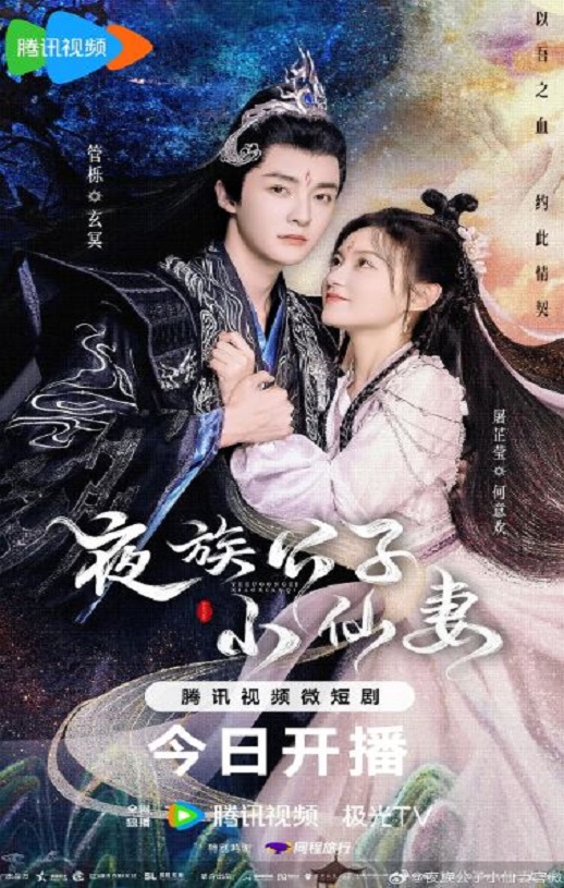 2023年国产大陆电视剧《夜族公子小仙妻》全25集