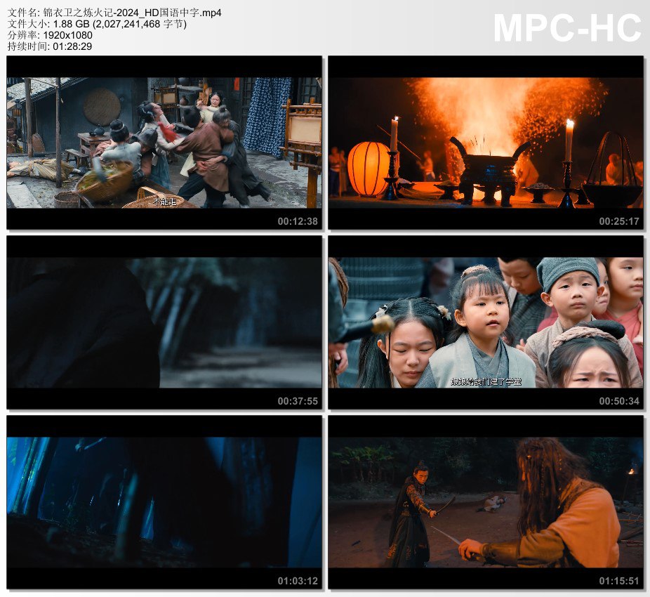 2024年国产动作片《锦衣卫之炼火记》HD国语中字