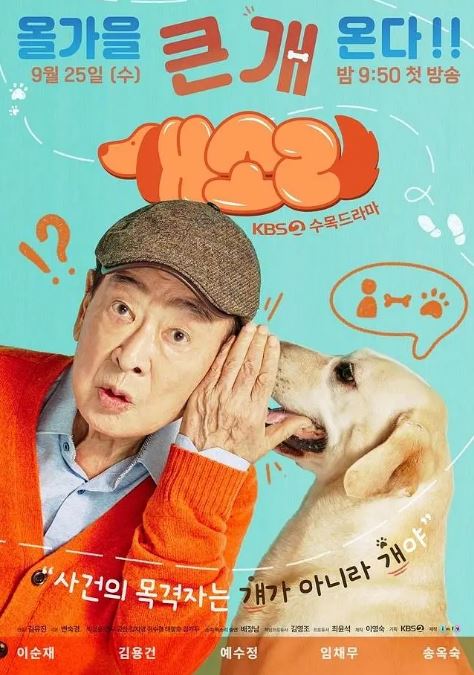 2024年韩国电视剧《狗话》全12集