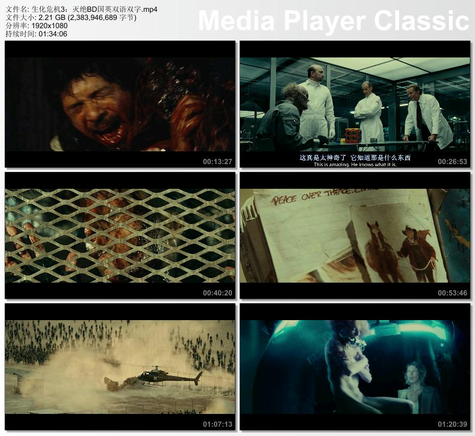 2007年美国经典科幻片《生化危机3：灭绝》蓝光国英双语双字