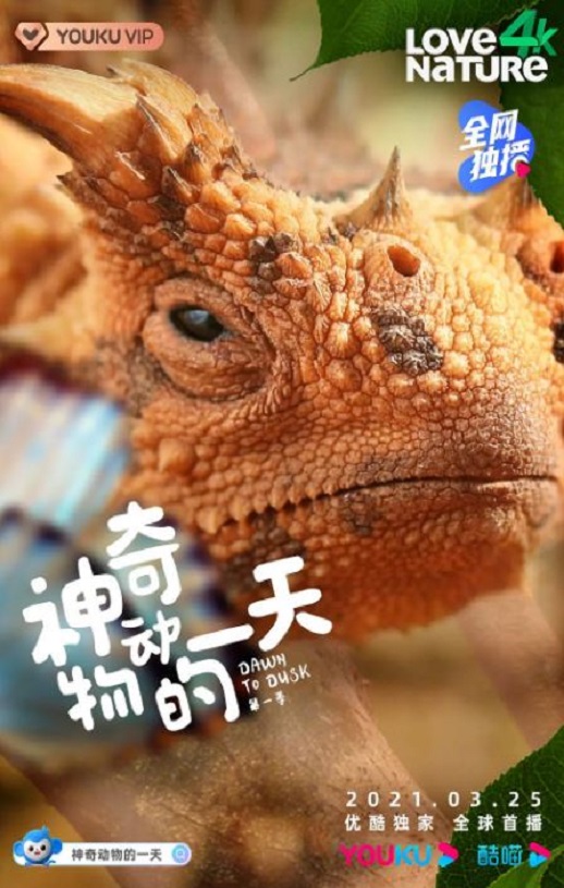 2021年加拿大纪录片《神奇动物的一天 第一季》全8集