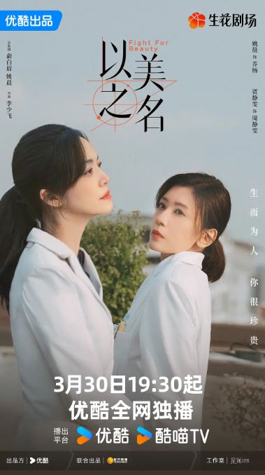 2025年国产大陆电视剧《以美之名》全29集