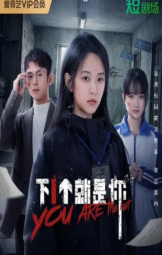 2025年国产大陆电视剧《下一个就是你》全18集