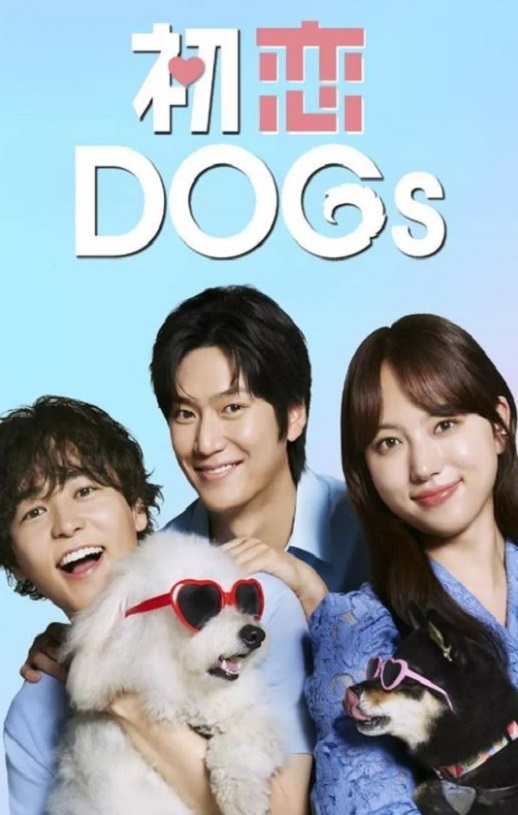 2025年日本电视剧《初恋DOGs》全10集