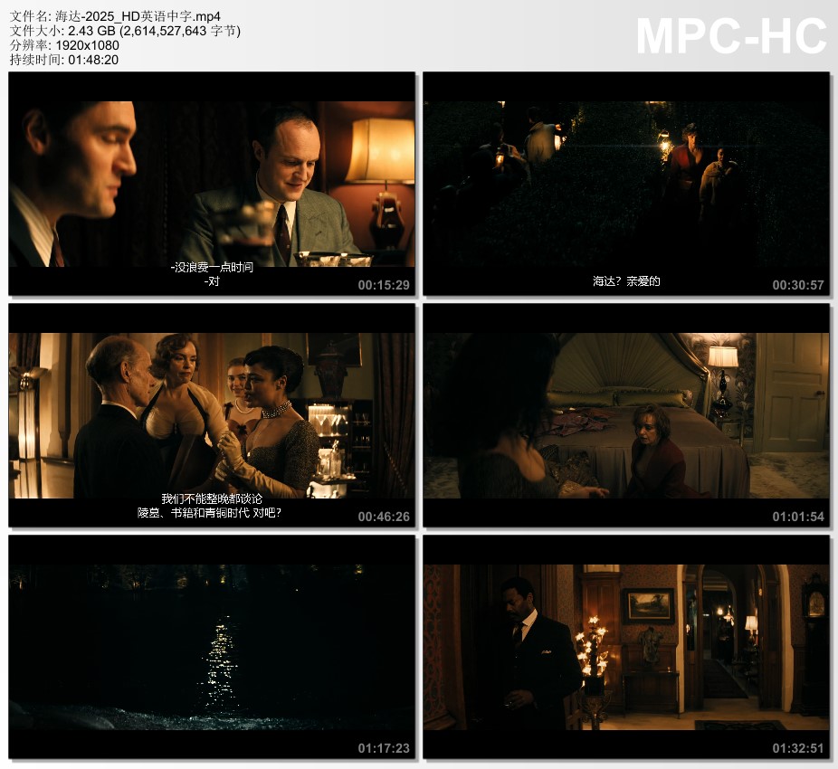 2025年美国剧情片《海达》HD英语中字