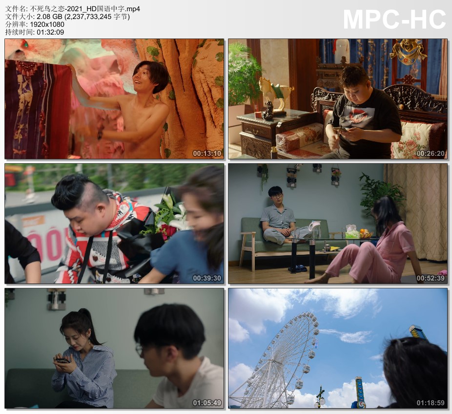 2021年国产爱情片《不死鸟之恋》HD国语中字