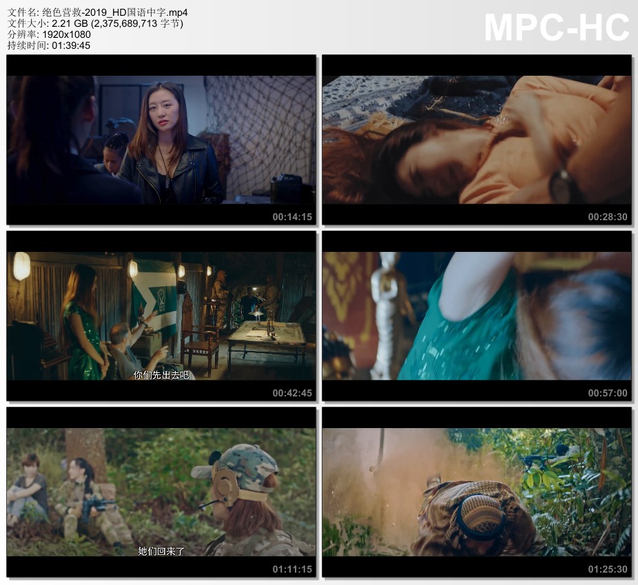 2019年国产动作片《绝色营救》HD国语中字