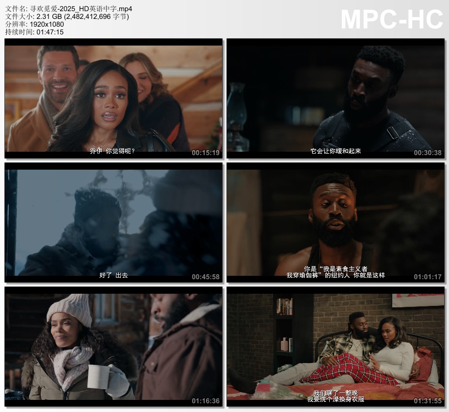 2025年美国剧情片《寻欢觅爱》HD英语中字