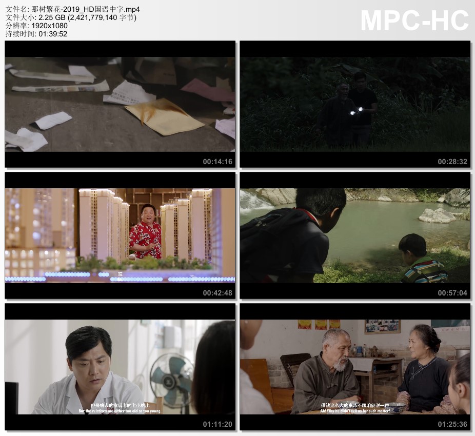 2019年国产剧情片《那树繁花》HD国语中字