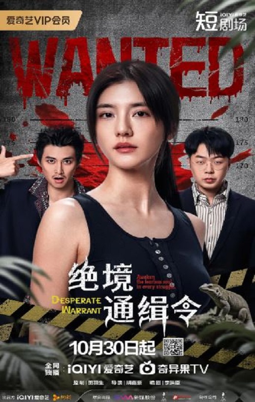 2025年国产大陆电视剧《绝境通缉令》全24集