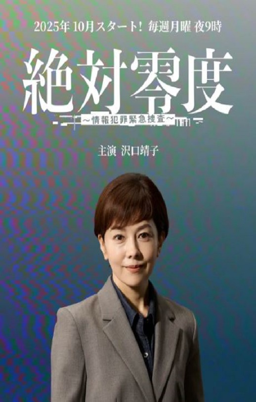 2025年日本电视剧《绝对零度 ~情报犯罪紧急搜查~》全11集