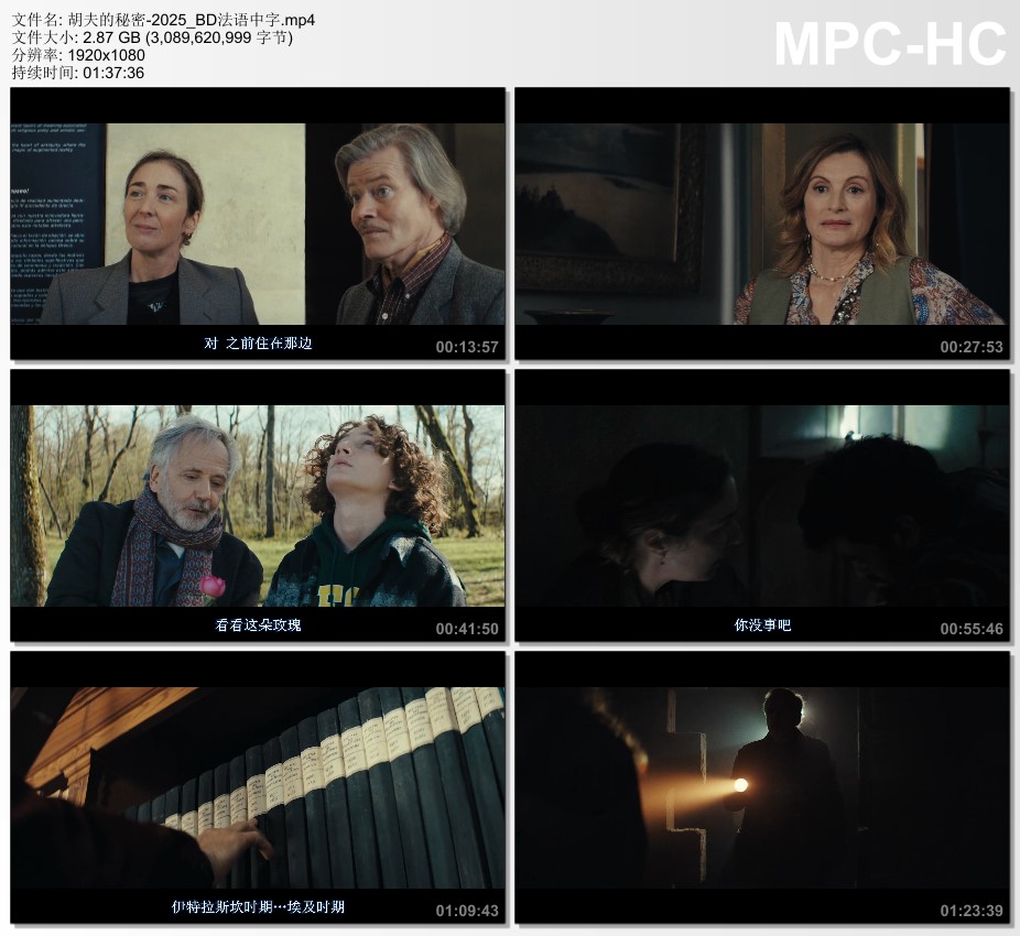 2025年法国喜剧片《胡夫的秘密》BD法语中字