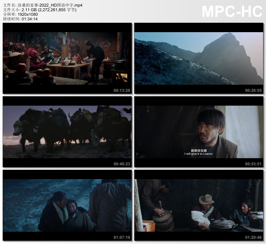 2022年国产剧情片《洛桑的家事》HD国语中字