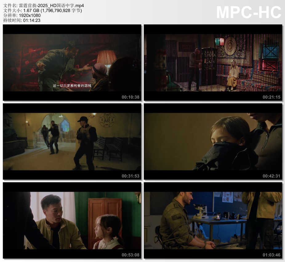 2025年国产动作片《雷霆营救》HD国语中字