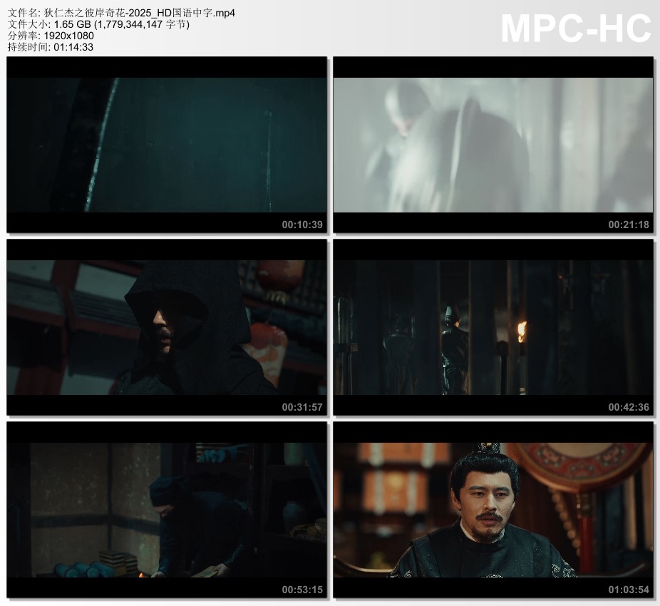 2025年国产动作片《狄仁杰之彼岸奇花》HD国语中字