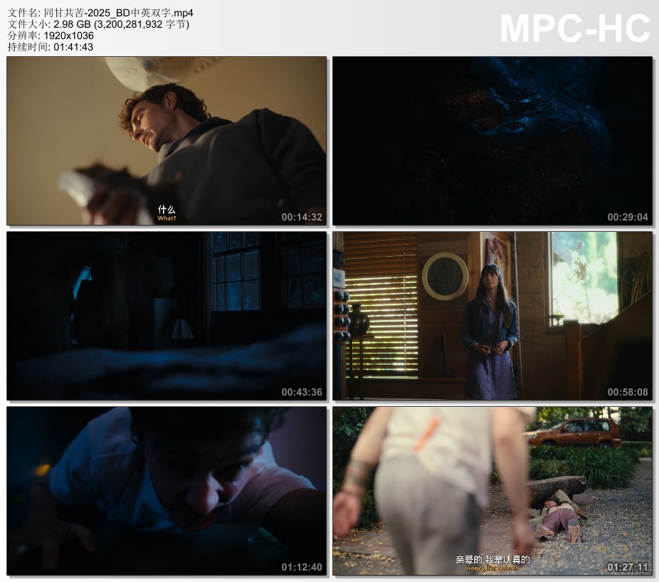 2025年美国7.2分恐怖爱情片《同甘共苦》BD中英双字