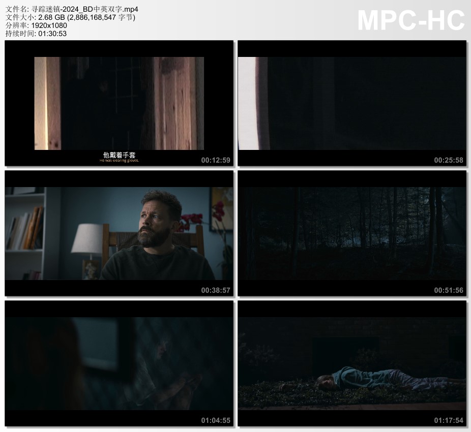 2024年美国惊悚片《寻踪迷镇》BD中英双字