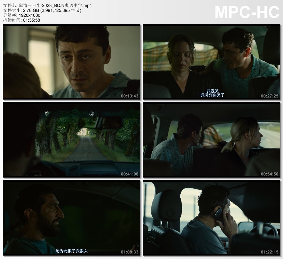 2023年瑞典动作片《危情一日半》BD瑞典语中字