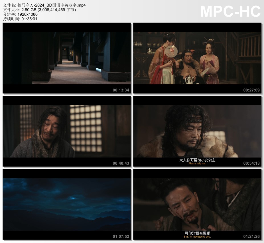 2024年国产动作武侠片《挡马夺刀》BD国语中英双字