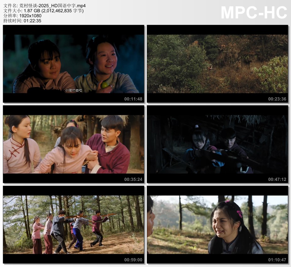 2025年国产悬疑片《荒村怪谈》HD国语中字