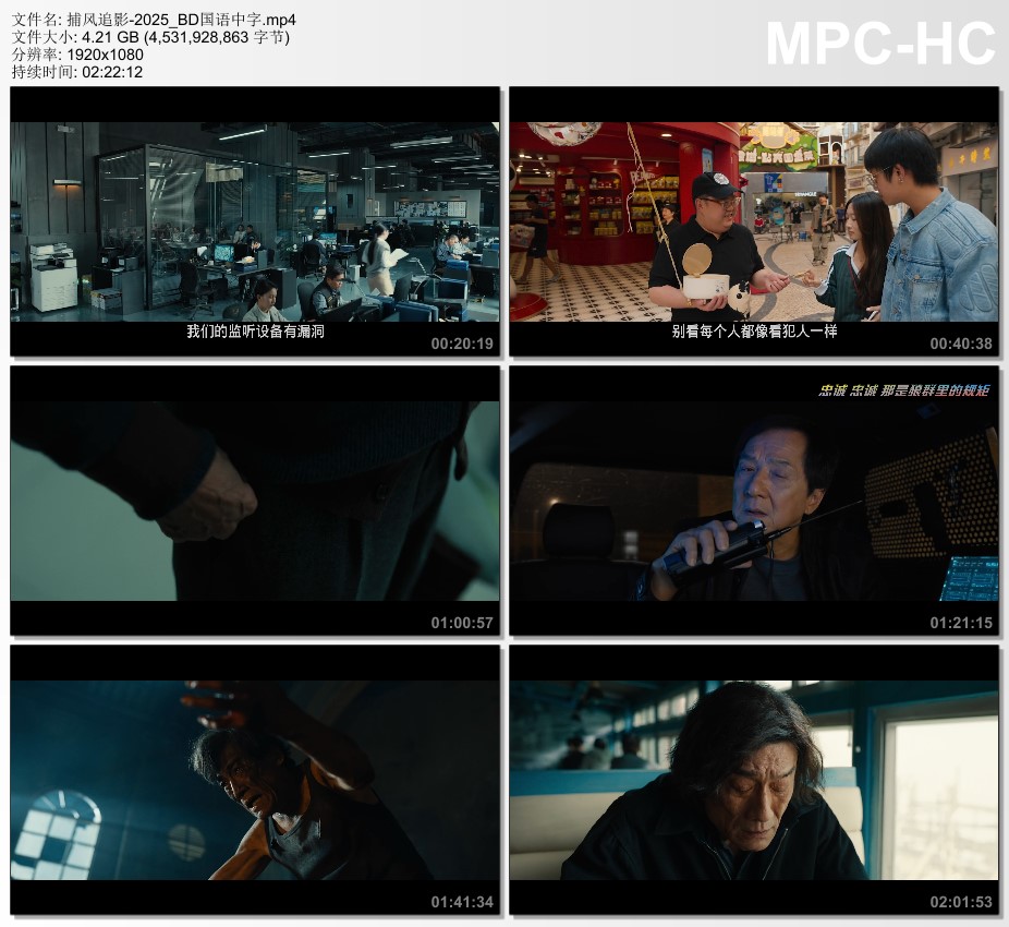 2025年国产8.2分动作片《捕风追影》BD国语中字