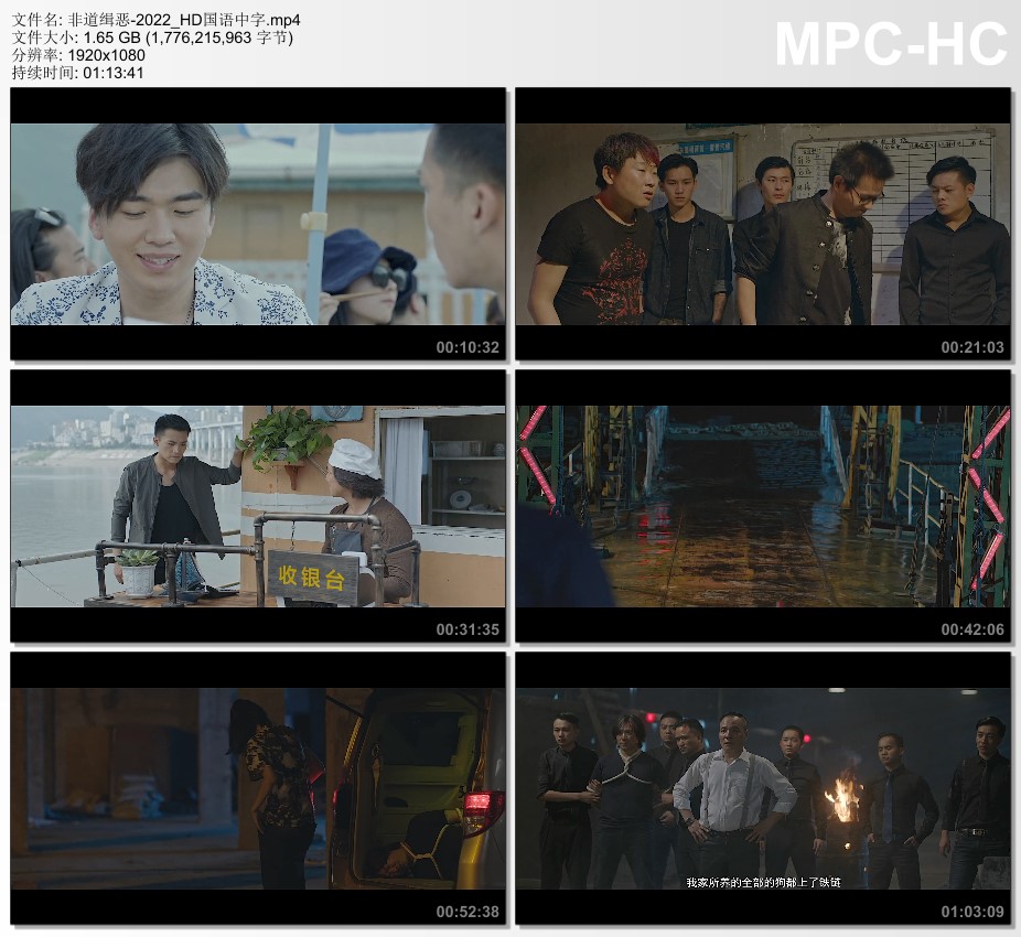 2022年国产剧情片《非道缉恶》HD国语中字