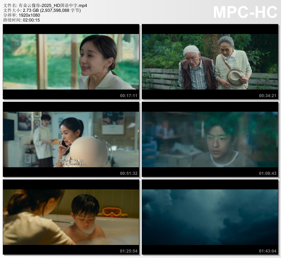 2025年国产爱情片《有朵云像你》HD国语中字