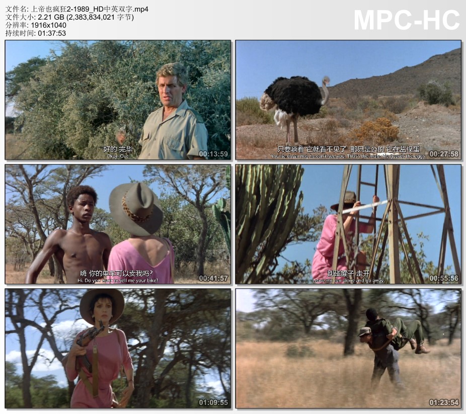 1989年南非经典喜剧片《上帝也疯狂2》HD中英双字