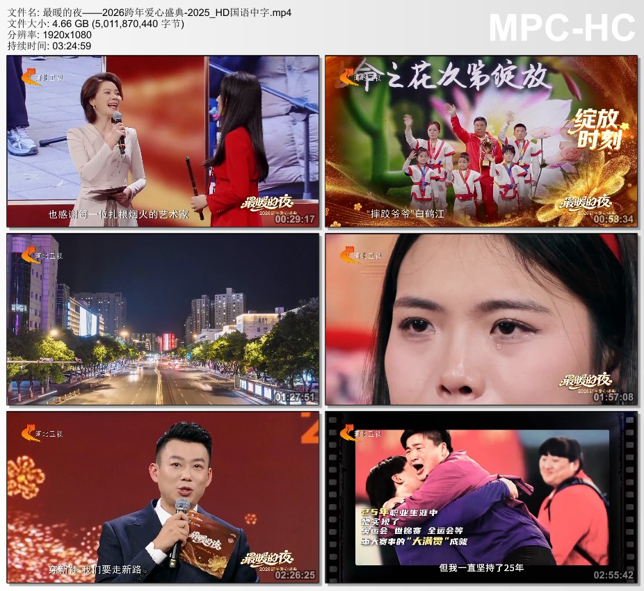 最暖的夜——2026跨年爱心盛典HD国语中字