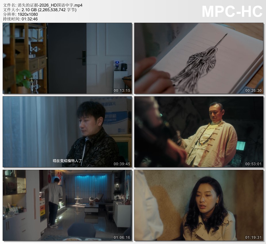 2026年国产悬疑犯罪片《消失的证据》HD国语中字